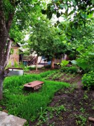 ��������� ��� ������������ (����������), ��������������, ������� ����� ���� 3