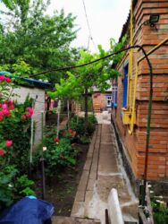 ��������� ��� ������������ (����������), ��������������, ������� ����� ���� 1