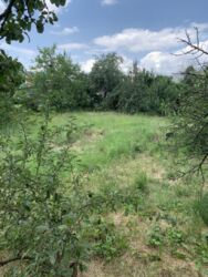 ��������� ��� ������������ (����������), �������������� ���� 7