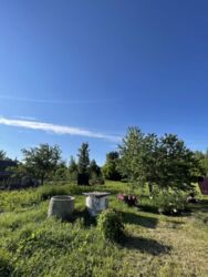 ��������� ��� ������������ (����������), ��������������, ��������� ���� 6