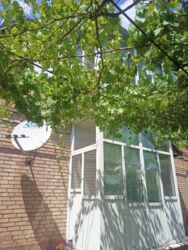 ��������� ��� ������������ (����������), ��������������, ����� ���� 4