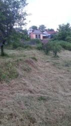 ��������� ��� ������������ (����������), ��������������, ����� ���� 3