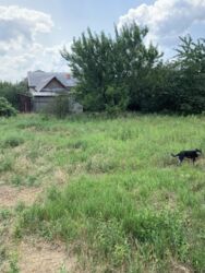 ��������� ��� ������������ (����������), �������������� ���� 4