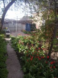 ��������� ��� ������������ (����������), ��������������, ������������ ���� 2