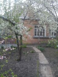 ��������� ��� ������������ (����������), ��������������, ������������ ���� 4