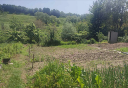 Продаж частини будинку, 3 кімнати фото 15 Продаж частини будинку, 3 кімнати фото 15