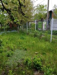 Продаж будинку, 100 кв. м, 2 кімнати, вул. Сонячна , с. Березина фото 10 Продаж будинку, 100 кв. м, 2 кімнати, вул. Сонячна , с. Березина фото 10