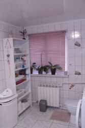 ������ �������, �'�������� ���� 11