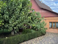  1    100 . , 3 ,  .   1