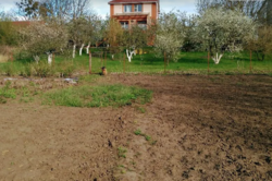 ������ 2 ����������� ������� ������� � ������� �� 25 �����, 170 ��. �, 3 ������, �� ���. �������� ���� 11