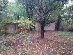 ������ ������� �������, ���������. ���� 2