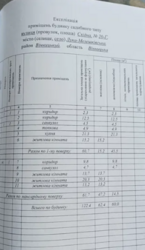 ������ 2 ����������� ������� � ������� �� 8 �����, ����-����������� �� ���. ������ ���� 2