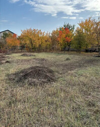 ������ 2 ����������� ������� � ������� �� 10 �����, �. �������� ���� 4