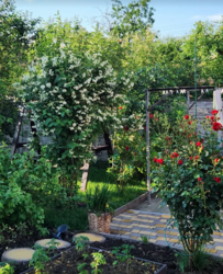  1       5.6 , 75 . , 3   12