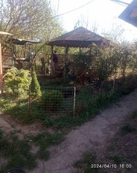 Продаж 1 поверхового будинку бесідка і ділянкою на 40 соток, 70 кв. м, 2 кімнати фото 2 Продаж 1 поверхового будинку бесідка і ділянкою на 40 соток, 70 кв. м, 2 кімнати фото 2