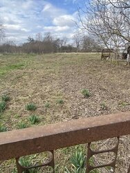 ������ 1 ����������� ������� 45 ��. �, 3 ������, �� ���. ������������ ���� 5