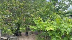 ������ ����, ³������ ������, �� ������� ���� 6