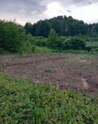 Продаж 1 поверхового будинку веранда і ділянкою на 12 соток, 50 кв. м, 3 кімнати фото 12 Продаж 1 поверхового будинку веранда і ділянкою на 12 соток, 50 кв. м, 3 кімнати фото 12