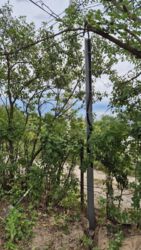 Продаж дачного будинку зі світлом, Бучми фото 11 Продаж дачного будинку зі світлом, Бучми фото 11