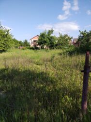 ������ �������, ����� ���� 6