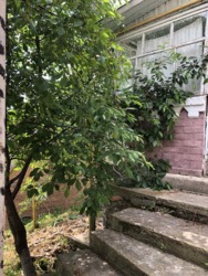 Продаж 1 поверхового будинку з садом і ділянкою на 10 соток, 65 кв. м, 2 кімнати, на вул. Данила Нечая фото 4 Продаж 1 поверхового будинку з садом і ділянкою на 10 соток, 65 кв. м, 2 кімнати, на вул. Данила Нечая фото 4