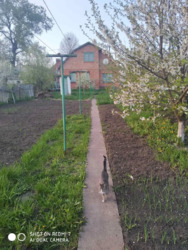 Продаж будинка, Тяжилів фото 4 Продаж будинка, Тяжилів фото 4