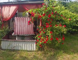 ������ ����, ��������� ����� ���� 5