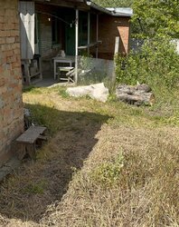 Продаж 1 поверхового будинку веранда і ділянкою на 0.831 соток, 48.2 кв. м, 2 кімнати, на вул. Івана Богуна фото 5 Продаж 1 поверхового будинку веранда і ділянкою на 0.831 соток, 48.2 кв. м, 2 кімнати, на вул. Івана Богуна фото 5