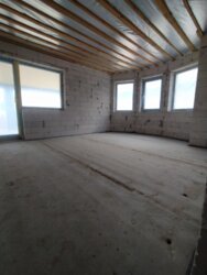  1        9 , 220 . , 3 ,  5