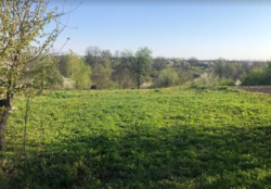 Продаж 1 поверхового будинку з ділянкою на 23 сотки, 60 кв. м, 4 кімнати, на Ратушної Л. вулиця 11 фото 2 Продаж 1 поверхового будинку з ділянкою на 23 сотки, 60 кв. м, 4 кімнати, на Ратушної Л. вулиця 11 фото 2