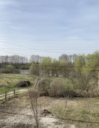 ��������� ������� �������, �����������, ³������� ���� 5