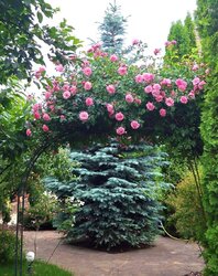  2        10 , 300 . , 3   11