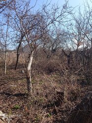 Продаж добротного будинку, Турбів фото 10 Продаж добротного будинку, Турбів фото 10