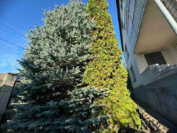 Продаж будинку у смт. Стрижавка фото 5 Продаж будинку у смт. Стрижавка фото 5