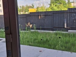 Продаж 2 поверхового таунхауса з ділянкою на 1.5 сотки, 90 кв. м. фото 1 Продаж 2 поверхового таунхауса з ділянкою на 1.5 сотки, 90 кв. м. фото 1