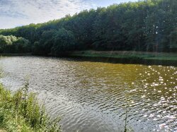 ������ 1 ����������� ������� � ������� � ������� �� 7.17 �����, 200 ��. �, 3 ������ ���� 2