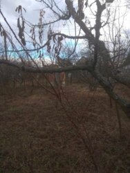 ������ 1 ����������� ������� � ������� �� 4 �����, 30 ��. �, 1 ������ ���� 5