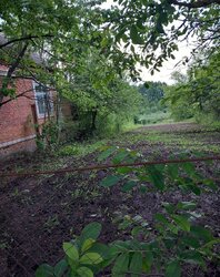 Продаж 1 поверхового будинку веранда і ділянкою на 12 соток, 50 кв. м, 3 кімнати фото 8 Продаж 1 поверхового будинку веранда і ділянкою на 12 соток, 50 кв. м, 3 кімнати фото 8