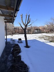 ������ 1 ����������� ������� � �������� � ������� �� 6 �����, 69 ��. �, 2-� ����. ��������� ������� ���� 19