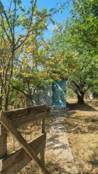 Продаж дачного будинку зі світлом, Бучми фото 6 Продаж дачного будинку зі світлом, Бучми фото 6