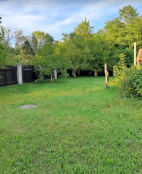 Продаж 2 поверхового будинку з ділянкою на 43 сотки, 112 кв. м, 6 кімнат, на вул. Пушкіна фото 5 Продаж 2 поверхового будинку з ділянкою на 43 сотки, 112 кв. м, 6 кімнат, на вул. Пушкіна фото 5