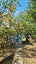 Продаж дачного будинку зі світлом, Бучми фото 5 Продаж дачного будинку зі світлом, Бучми фото 5