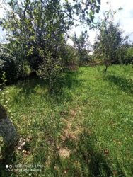 ������ 1 ����������� ������� � �������� � ������� �� 15 �����, 90 ��. �, 4 ������, �� �������� (�������) ���� 10