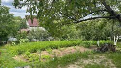 ������ ����, ³������ ������, �� ������� ���� 3