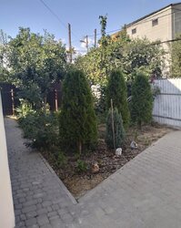 Продаж 1 поверхового будинку з гаражем і ділянкою на 4.5 сотки, 61.4 кв. м, 3 кімнати, на вул. Гната Танцюри фото 6 Продаж 1 поверхового будинку з гаражем і ділянкою на 4.5 сотки, 61.4 кв. м, 3 кімнати, на вул. Гната Танцюри фото 6