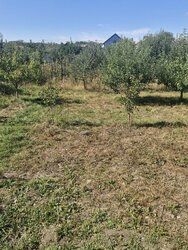 Продаж 2 поверхового будинку з балконом і ділянкою на 7.3 сотки, 230 кв. м фото 9 Продаж 2 поверхового будинку з балконом і ділянкою на 7.3 сотки, 230 кв. м фото 9