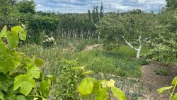 ������ ����, ³������ ������, �� ������� ���� 7