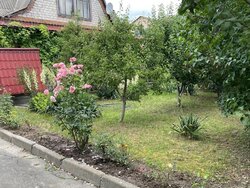 ������ 2 ����������� ������� � ������� �� 12 �����, �� ���. ����� ���������� ���� 5