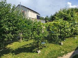Продаж будинку з гаражем і ділянкою на 4 сотки, 105 кв. м, ДМ Писарівський фото 6 Продаж будинку з гаражем і ділянкою на 4 сотки, 105 кв. м, ДМ Писарівський фото 6