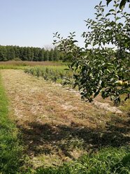  1      38 , 78 . , c.   3